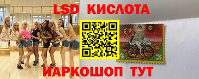 амф Камышлов