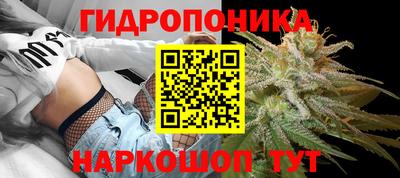 амф Камышлов