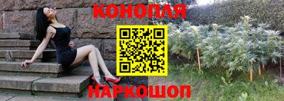 амф Камышлов