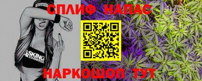 амф Камышлов