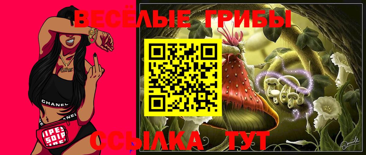 Псилоцибиновые грибы мухоморы  где продают   Великий Устюг  Вход с VPN 