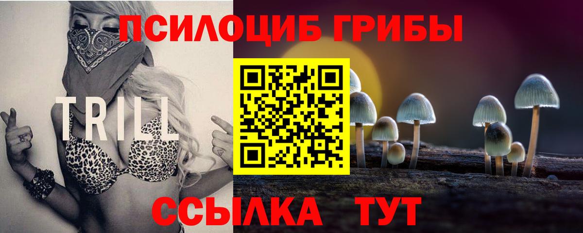 Галлюциногенные грибы GOLDEN TEACHER Великий Устюг